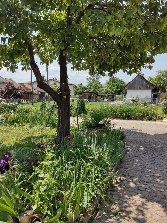 Villa Drenje Kljuc Brdovecki Exteriör bild