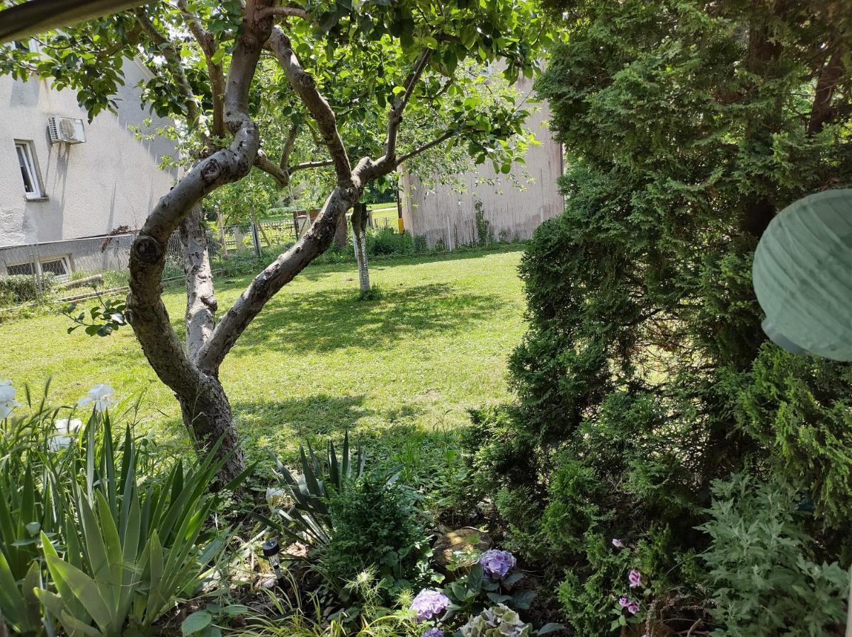 Villa Drenje Kljuc Brdovecki Exteriör bild